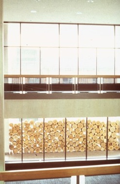 installation artist Rick Rothrock